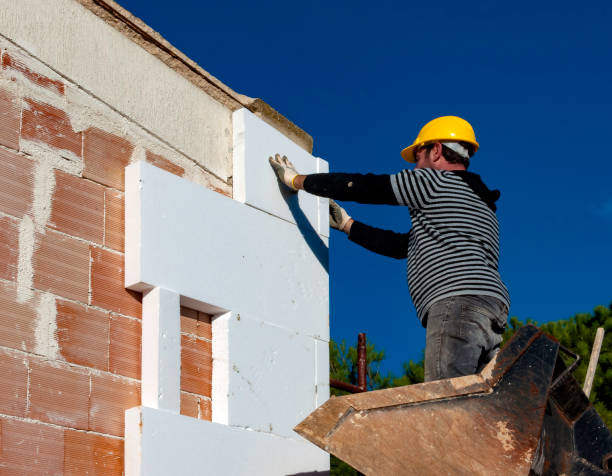Best Local Insulation Services  in Barbourmeade, KY