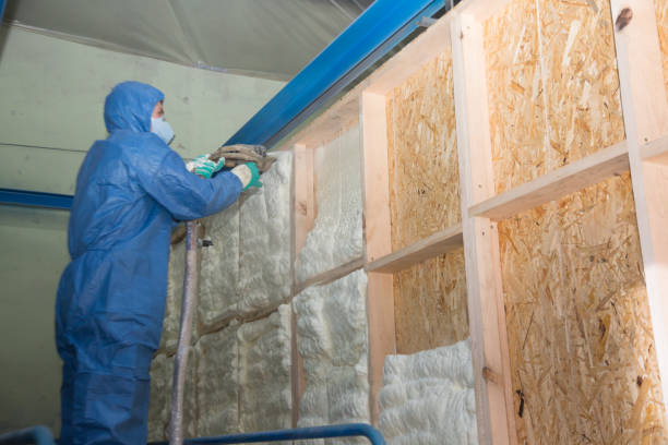 Best Insulation Repair Services  in Barbourmeade, KY
